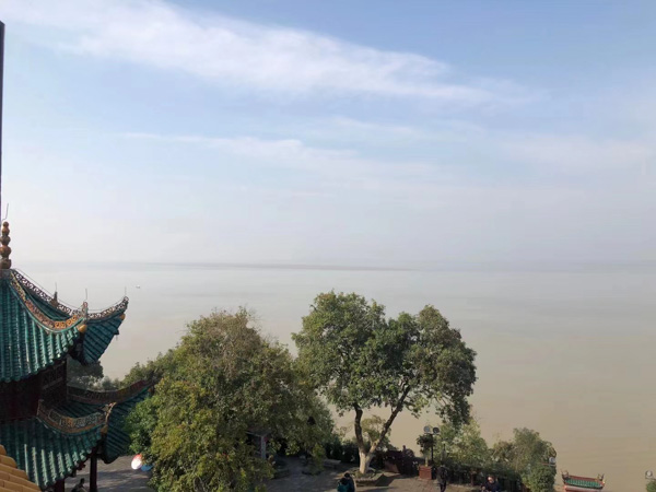 深圳醫(yī)療糾紛知名律師來講講甲狀腺手術醫(yī)療事故賠償?shù)姆砂咐头煞ㄒ?guī)分析