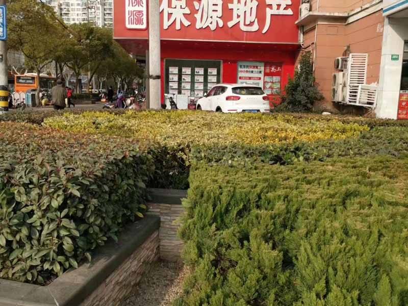 大鵬新區(qū)律師:誤拆=強拆！是對房屋的蓄意“謀殺”!構(gòu)成犯罪！