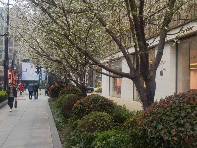 勞動者未事先告知用人單位能否直接申請仲裁？深圳法律咨詢網(wǎng)來回答