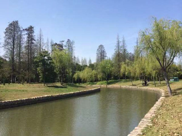 購房人是否以疫情為由請求解除合同？深圳房子律師告訴您