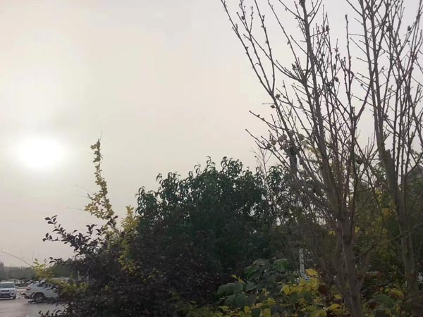 深圳厲害的律師帶您了解醫(yī)療事故嚴(yán)重的情況下醫(yī)生是否會被判刑