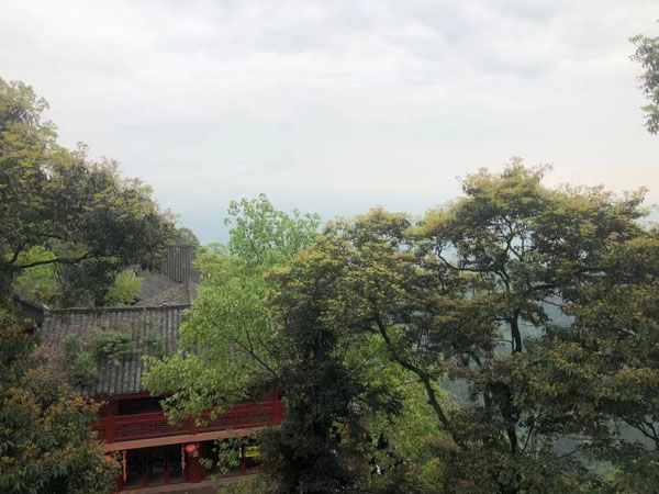 龍崗律師事務(wù)所教你如何寫一篇完美的離婚起訴狀？太實用了！值得收藏！
